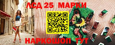 гидра Кандалакша