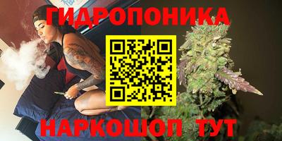 эйфоретик Камышлов