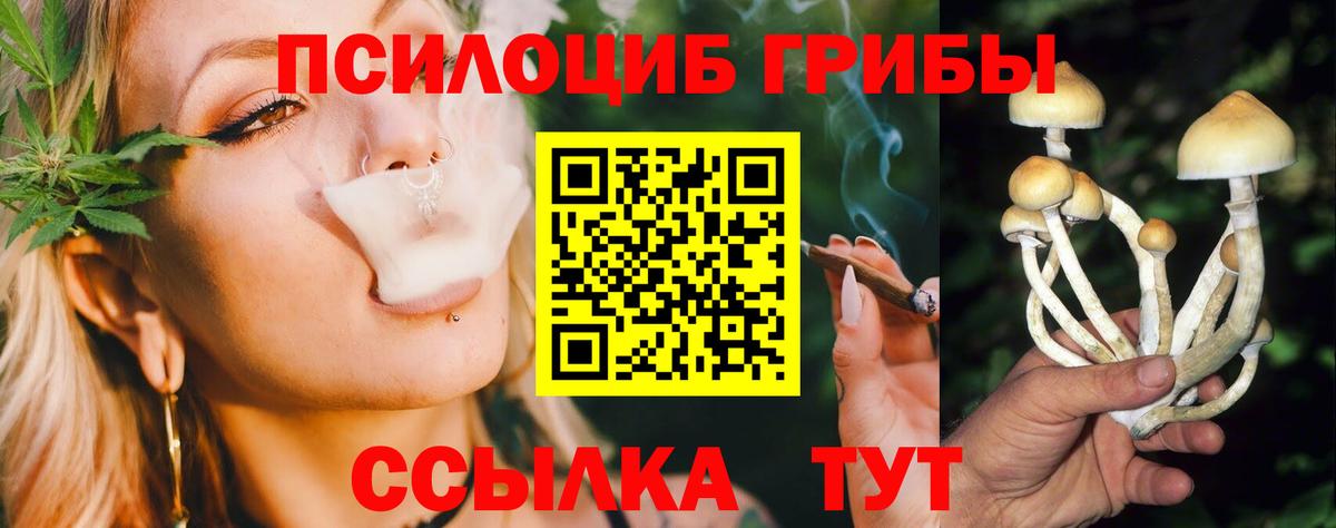 Галлюциногенные грибы MAGIC MUSHROOMS  Галлюциногенные грибы GOLDEN TEACHER  купить наркотики сайты  Вход с VPN  Красный Сулин 